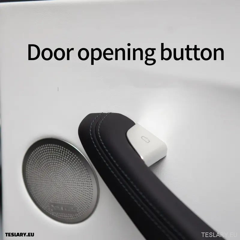 Tesla Model 3 Highland Silver Button Covers 2017-2022_1_TESLA_SHOP_ACCESSORIES_-_DEUTSCHLAND_FRANCE_1-_IRELAND_ITALIA_EIRE-TESLARY.EU_EUROPES_TESLA_SPECIALISTS