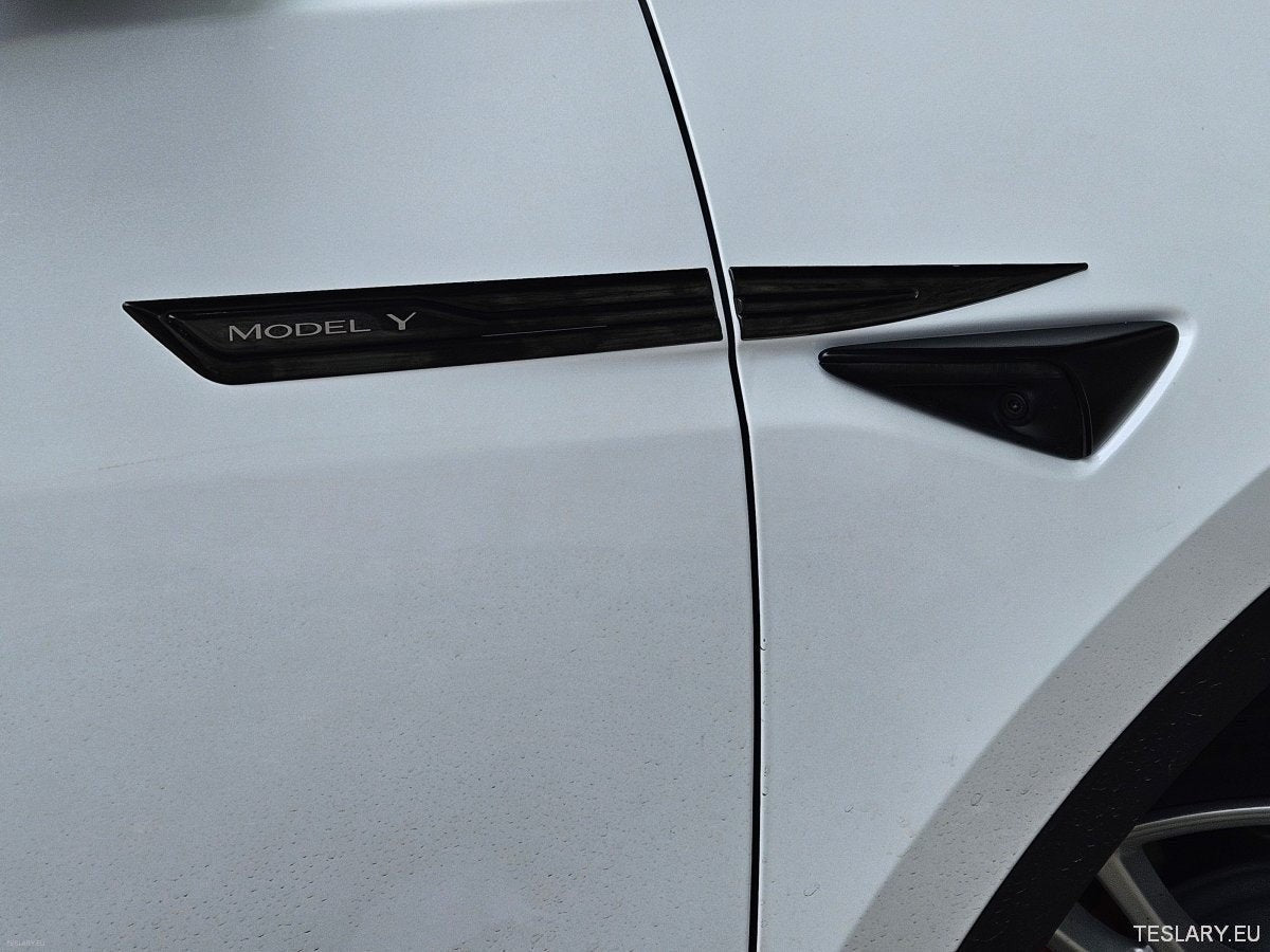 Premium Logo Decal Metal Door & Wing Stickers for Tesla 3 , Y & X
